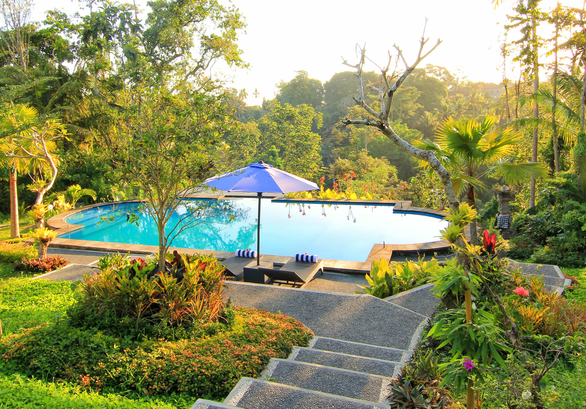 Villa Capung Mas Ubud ภายนอก รูปภาพ
